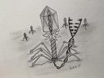 Bacteriophage for I2SysBio