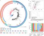 The first wave of the COVID-19 epidemic in Spain was associated with early introductions and fast spread of a dominating genetic variant